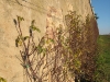 img_8621.jpg
